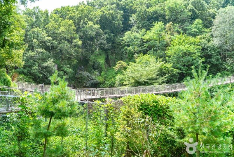 도덕산 출렁다리 이미지 3