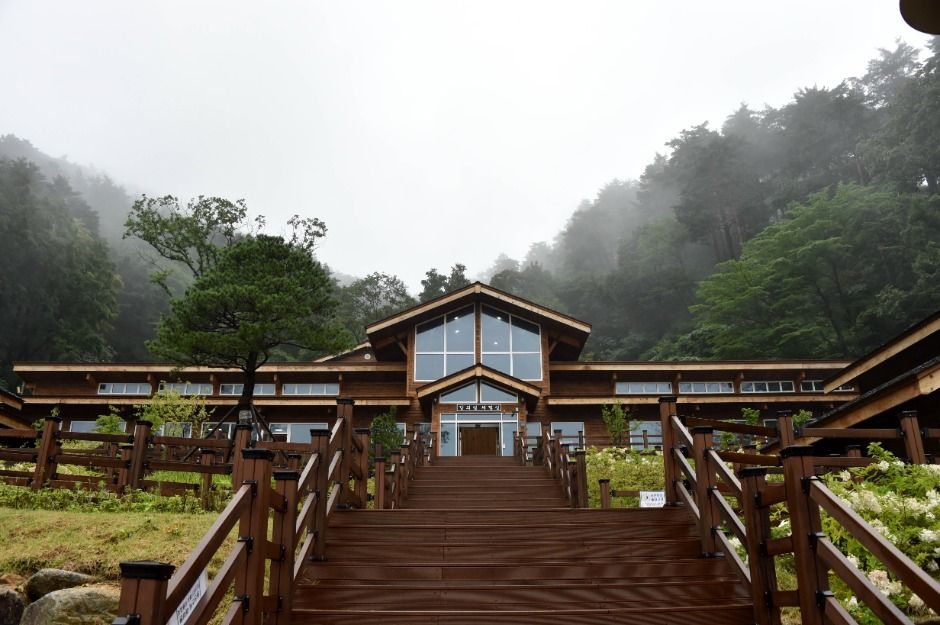 강릉 국립대관령치유의숲 이미지 7