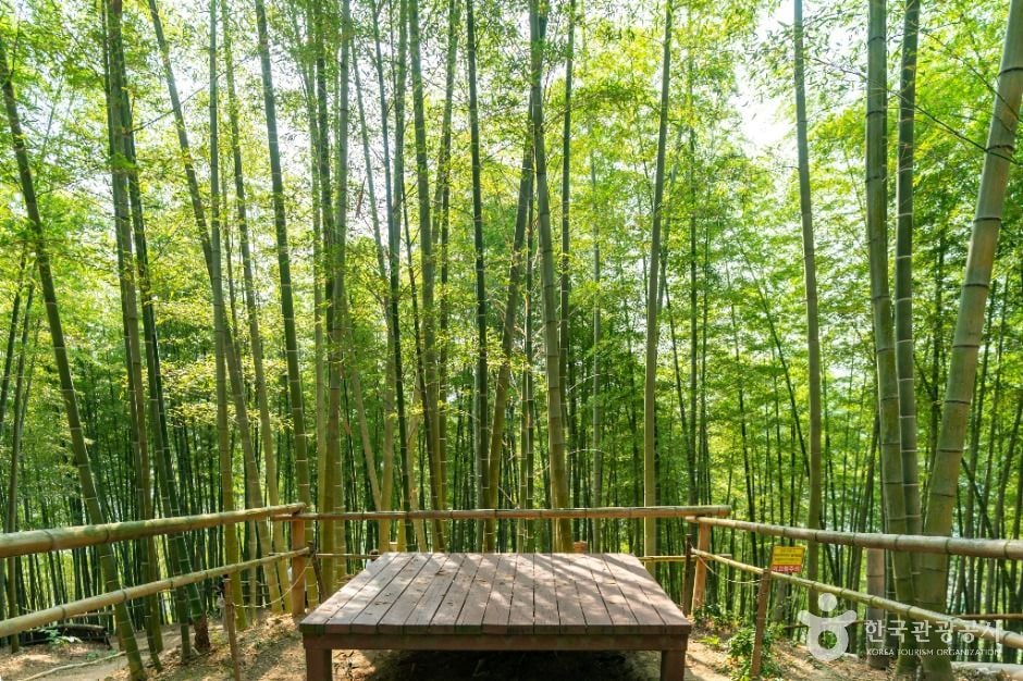 거제 맹종죽테마파크 이미지 2