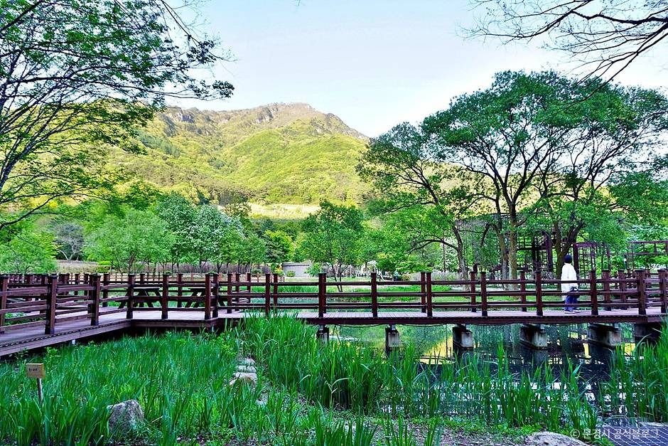 문경 생태미로공원 이미지 4