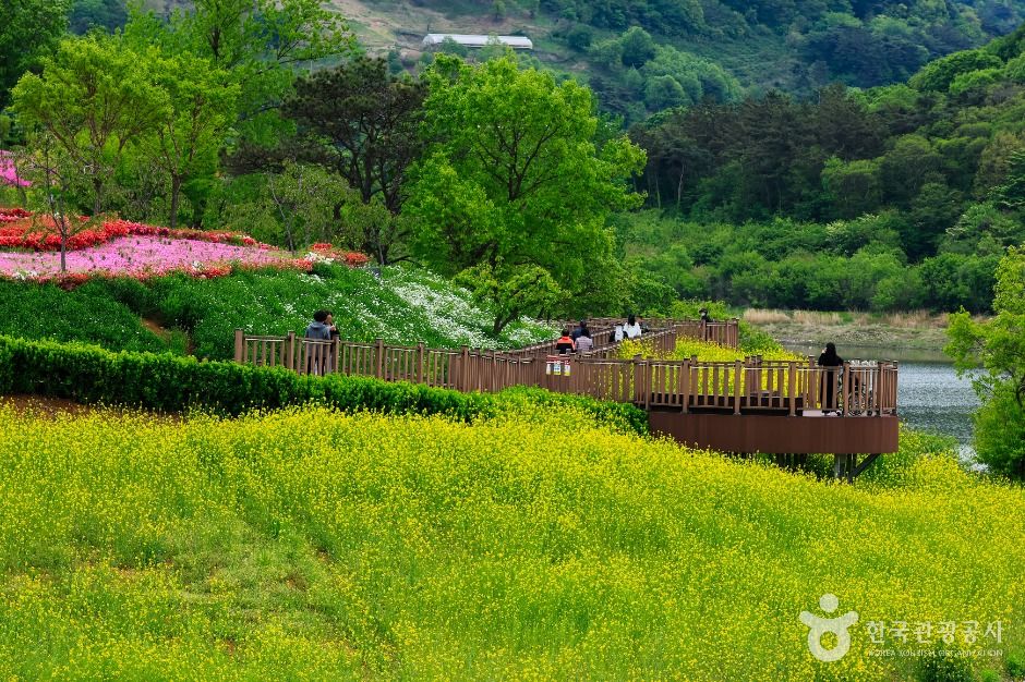 임실 옥정호 출렁다리 및 붕어섬생태공원 이미지 6