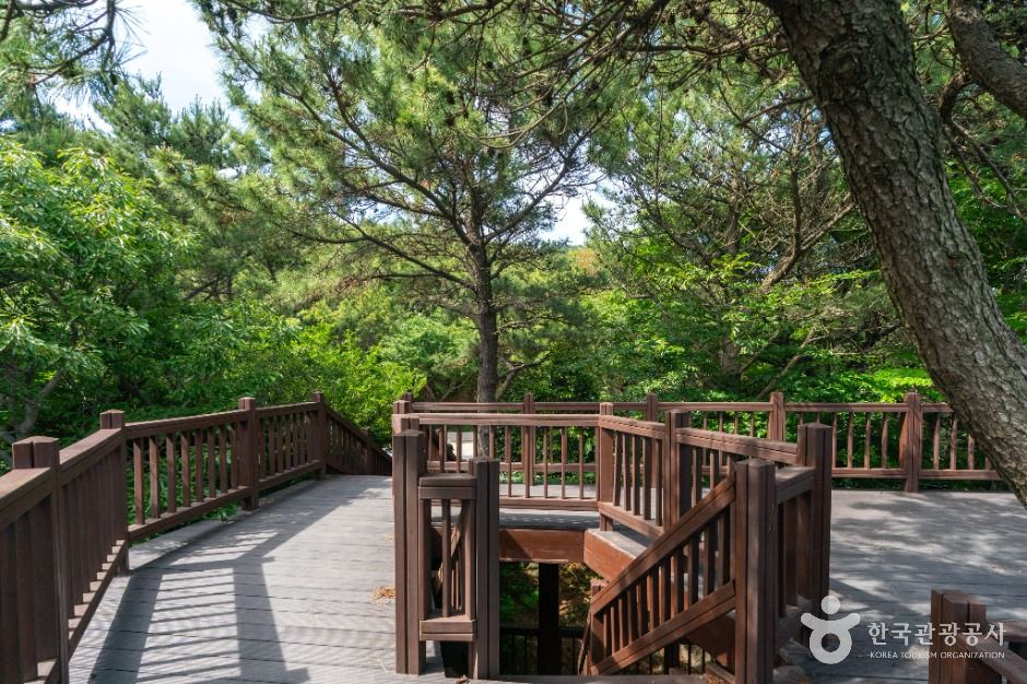 거제 병대도전망대 이미지 7