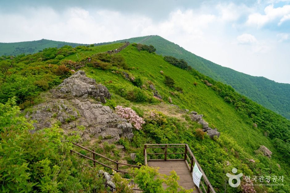 단양 소백산국립공원 이미지 2