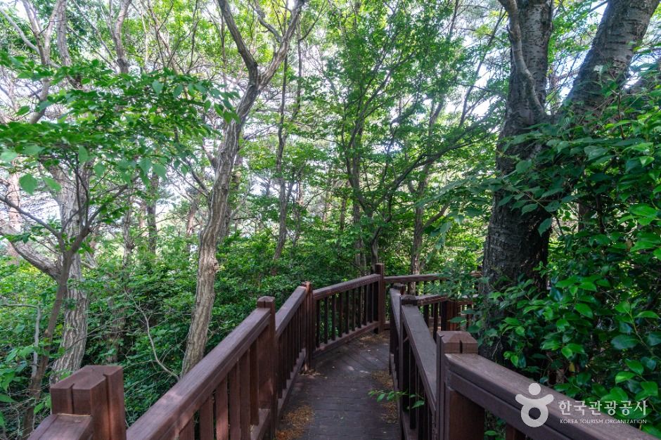 거제 병대도전망대 이미지 4