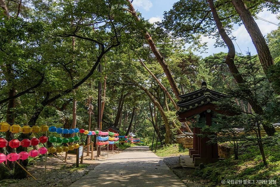 영천 팔공산국립공원_은해사지구 이미지 2