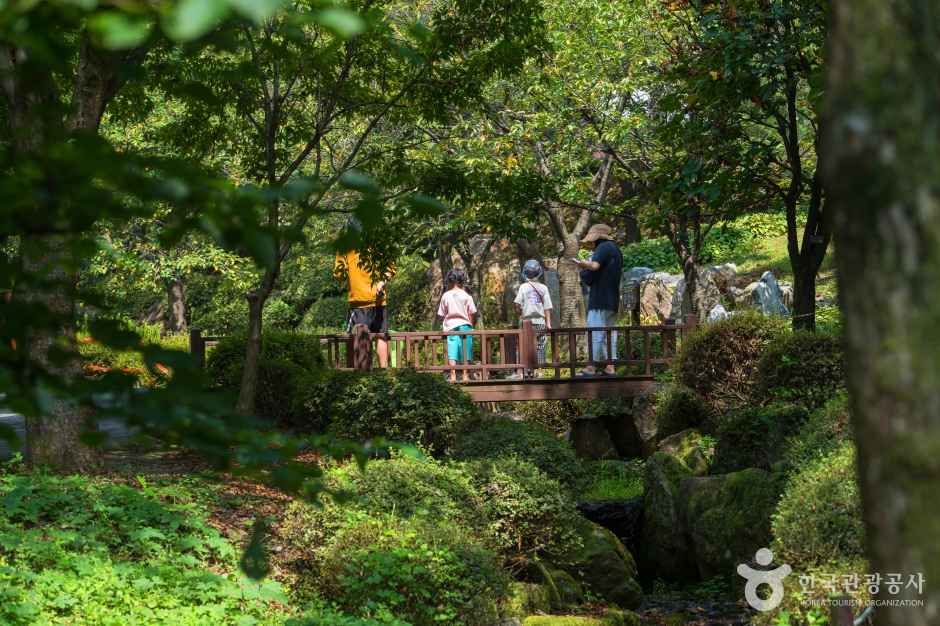 용인 자연휴양림 이미지 3