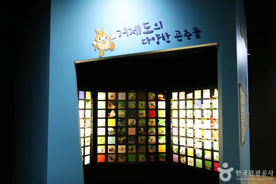 거제 곤충생태박물관 이미지 5