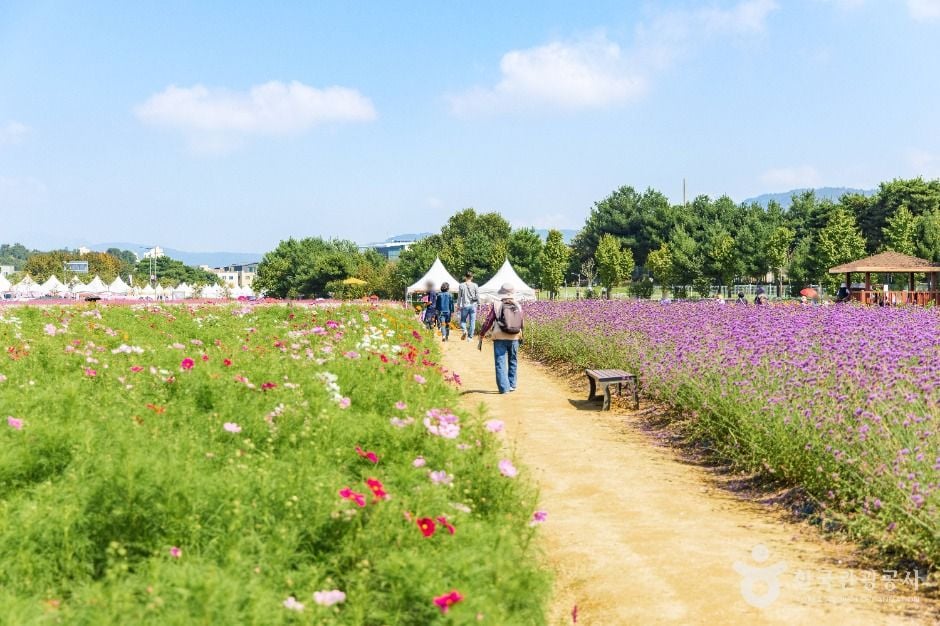 양주 나리농원 이미지 9