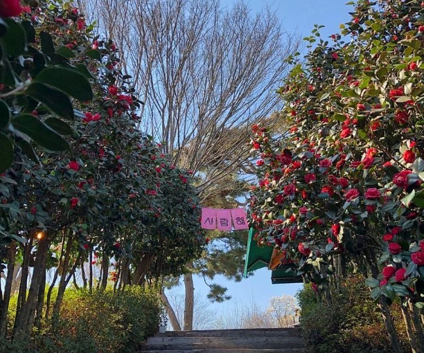 익산 달빛소리 수목원 이미지 5