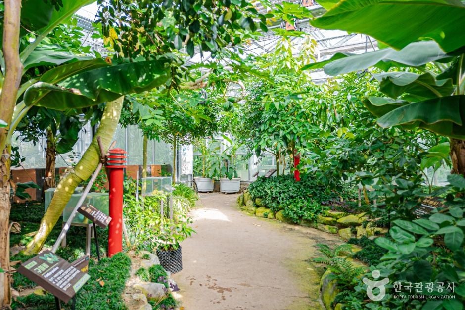 완주 대아수목원 이미지 6