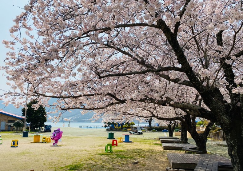 고성 당항포관광지 이미지 6