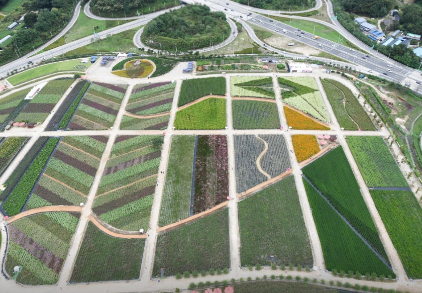 양주 나리농원 이미지 4