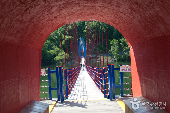 천장호 출렁다리 이미지 5