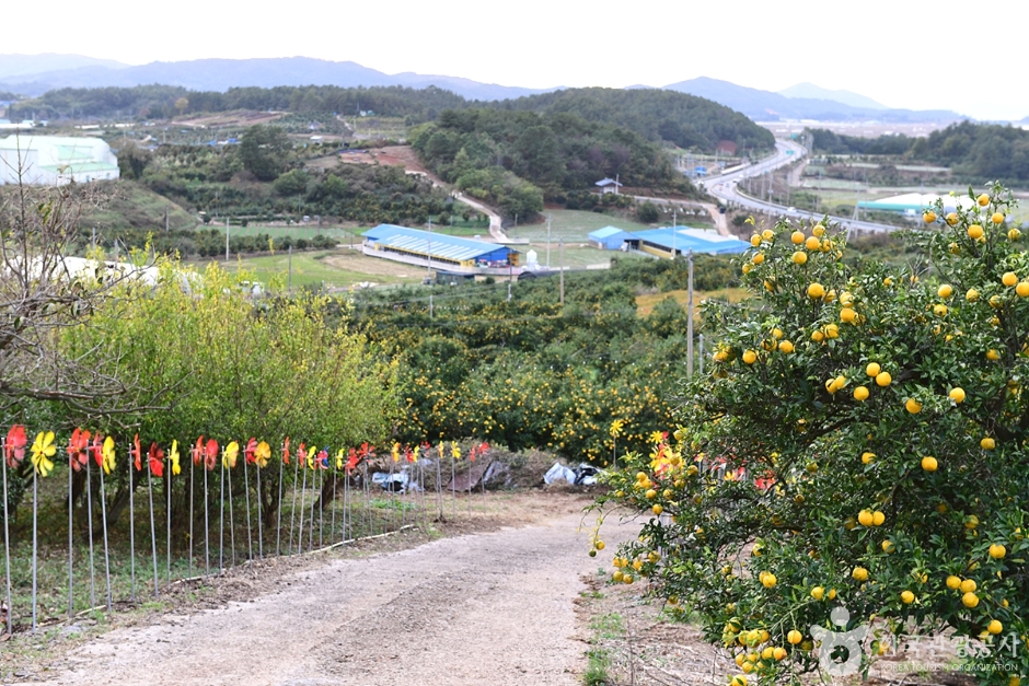 고흥 유자공원 이미지 3