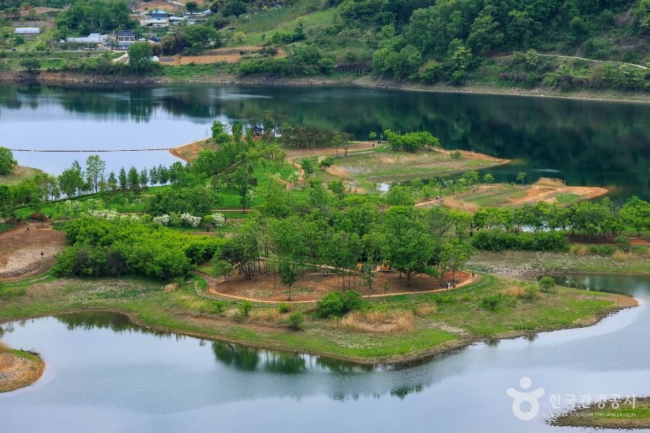 임실 옥정호 출렁다리 및 붕어섬생태공원 이미지 5