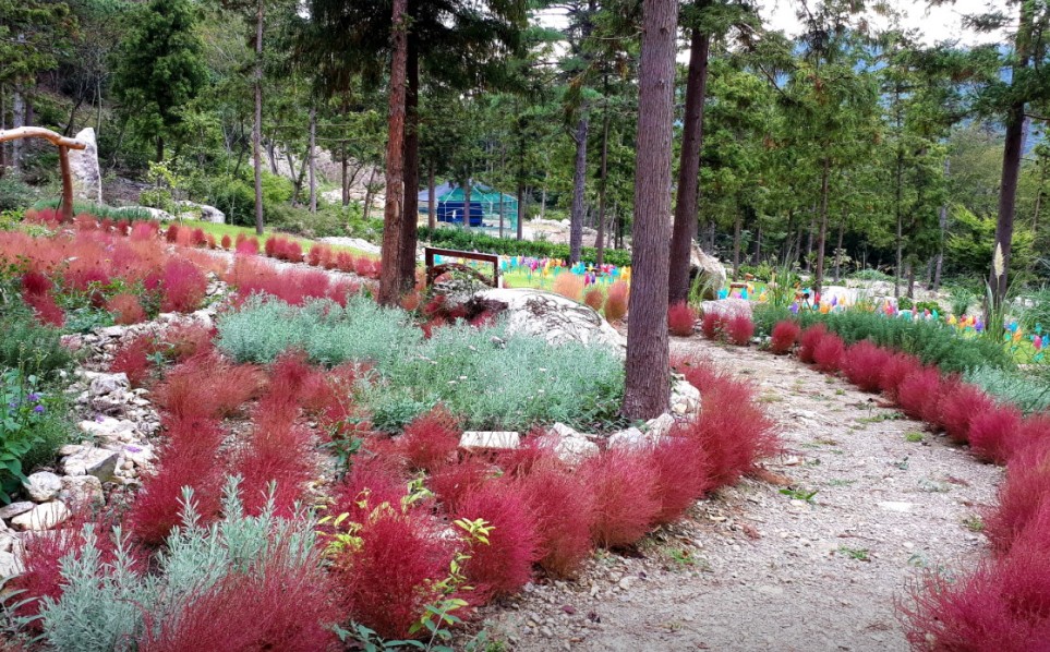 해남 포레스트수목원 이미지 5