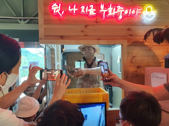 고성 공룡타조랜드 이미지 10