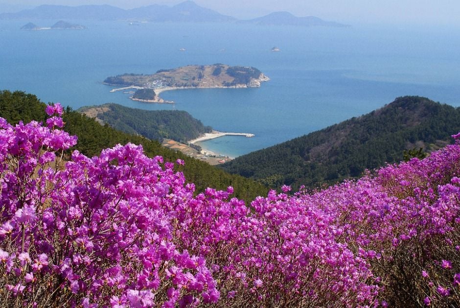 거제 이수도 이미지 8