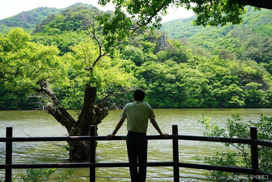청송 주산지 (국가지질공원) 이미지 5