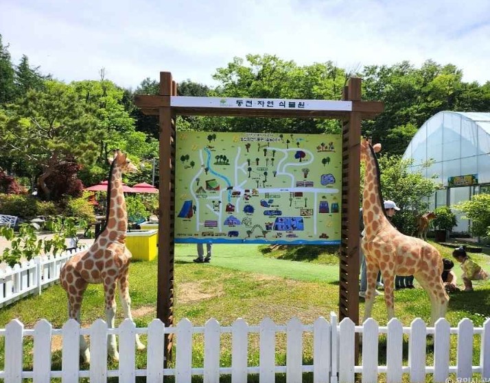 용인 동천자연식물원 이미지 5