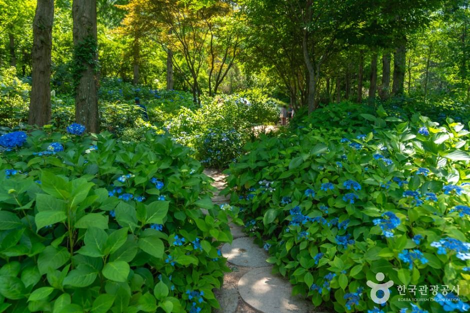 고성 그레이스 정원 이미지 3