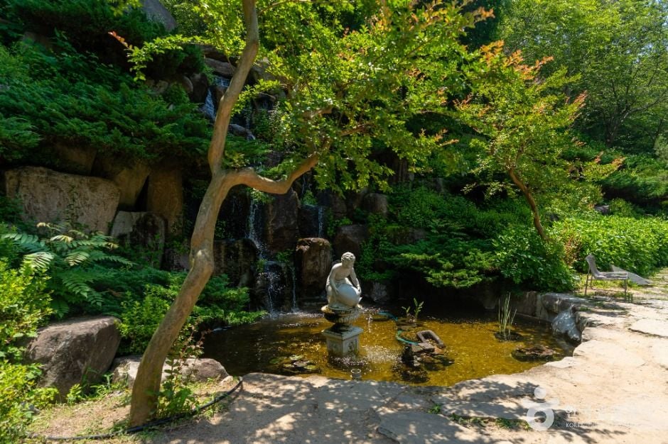 고성 그레이스 정원 이미지 6