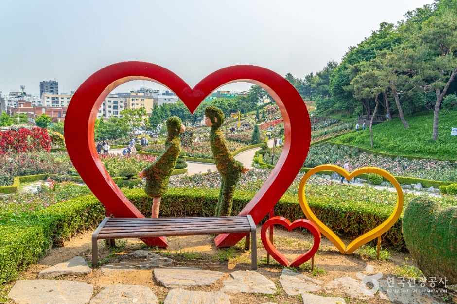 부천 백만송이장미원 이미지 4