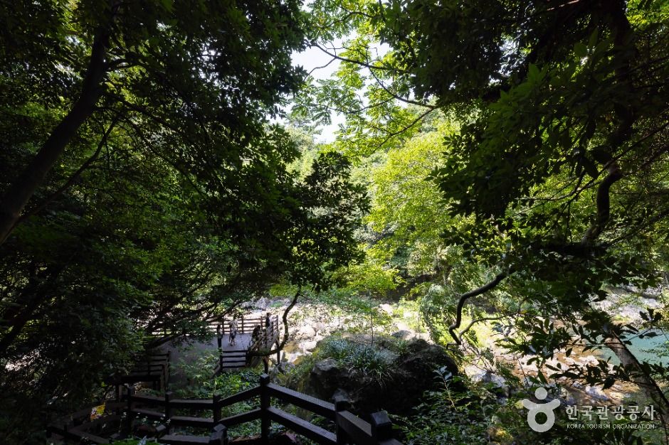 제주 천제연폭포 이미지 6