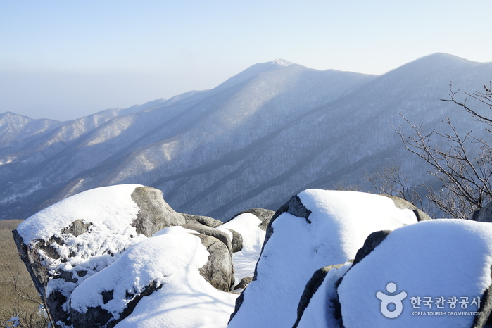 금원산 자연휴양림 이미지 3