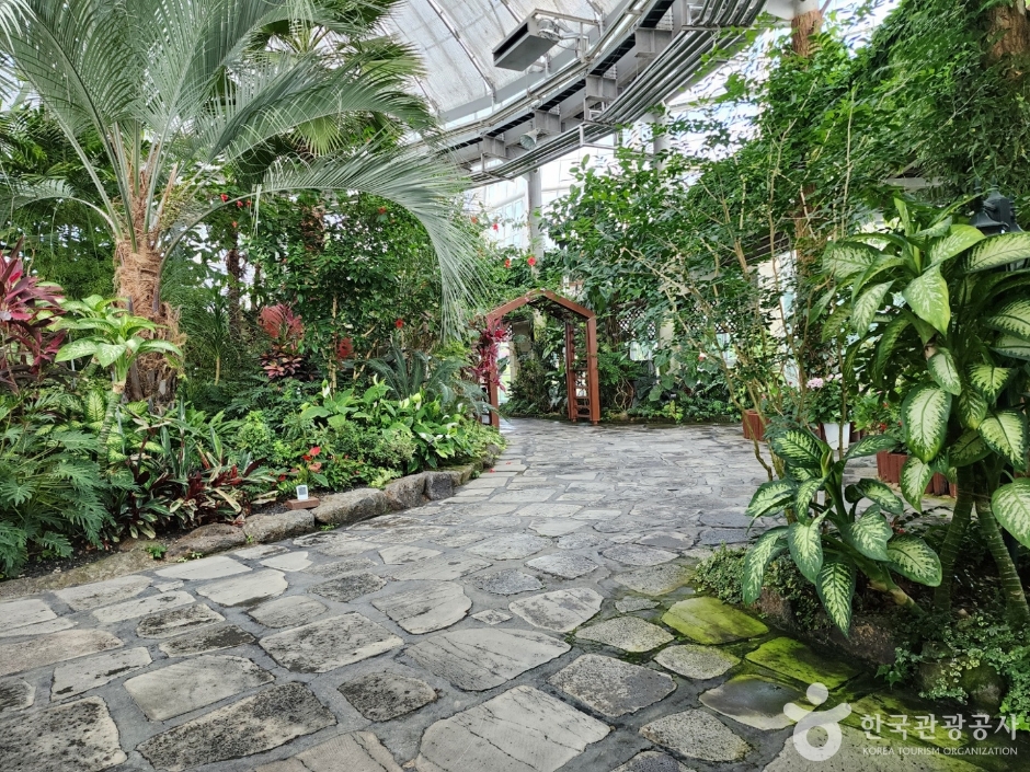 거창 창포원 이미지 4