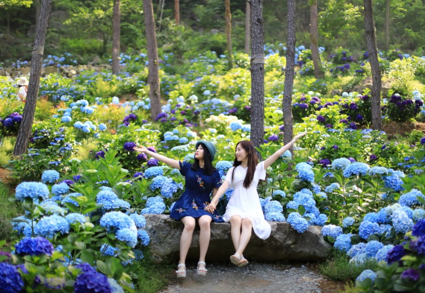 해남 포레스트수목원 이미지 2