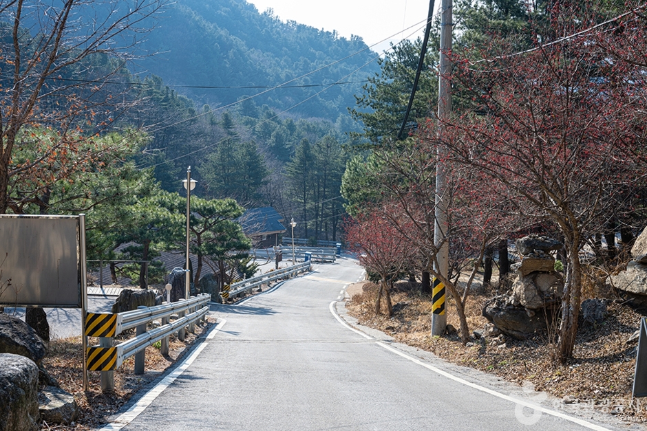 남양주 축령산자연휴양림 이미지 5