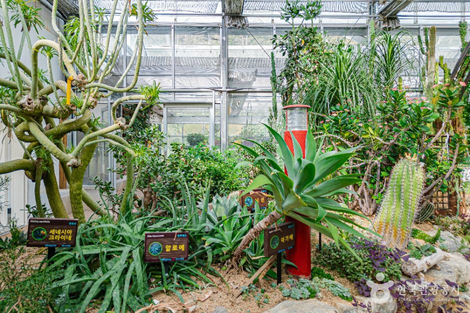 완주 대아수목원 이미지 7