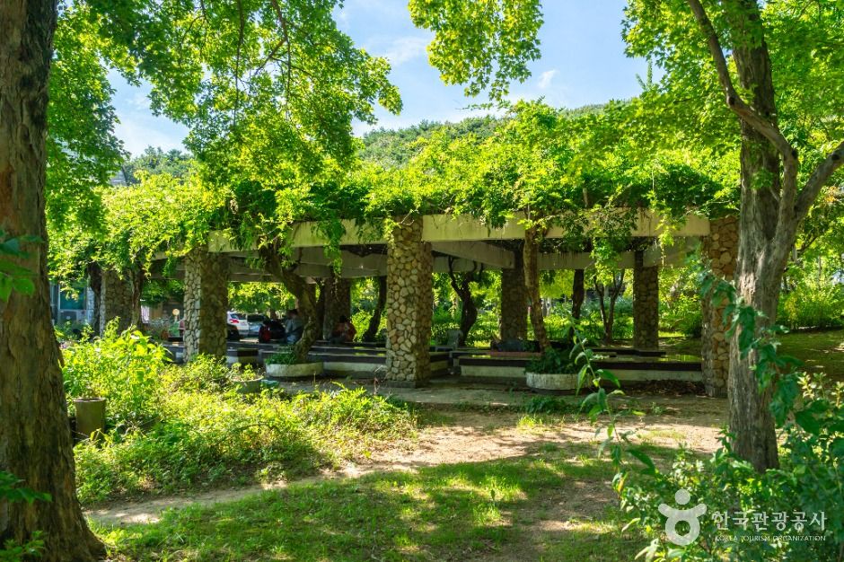 대구 팔공산분수광장 이미지 3