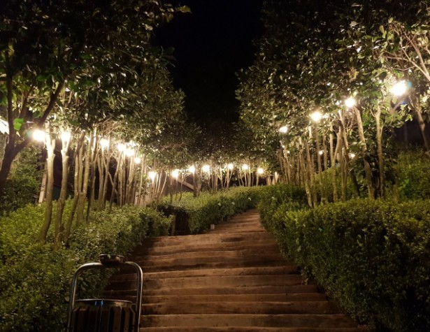 익산 달빛소리 수목원 이미지 3