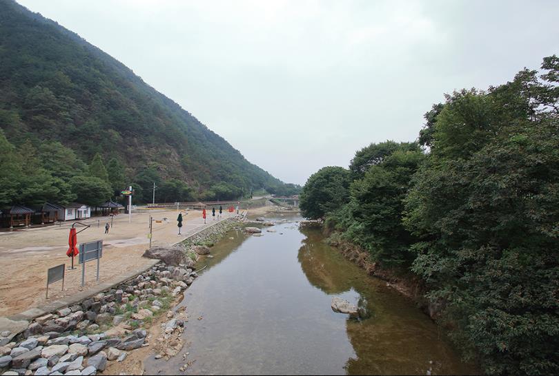 옥천 장령산자연휴양림 이미지 7