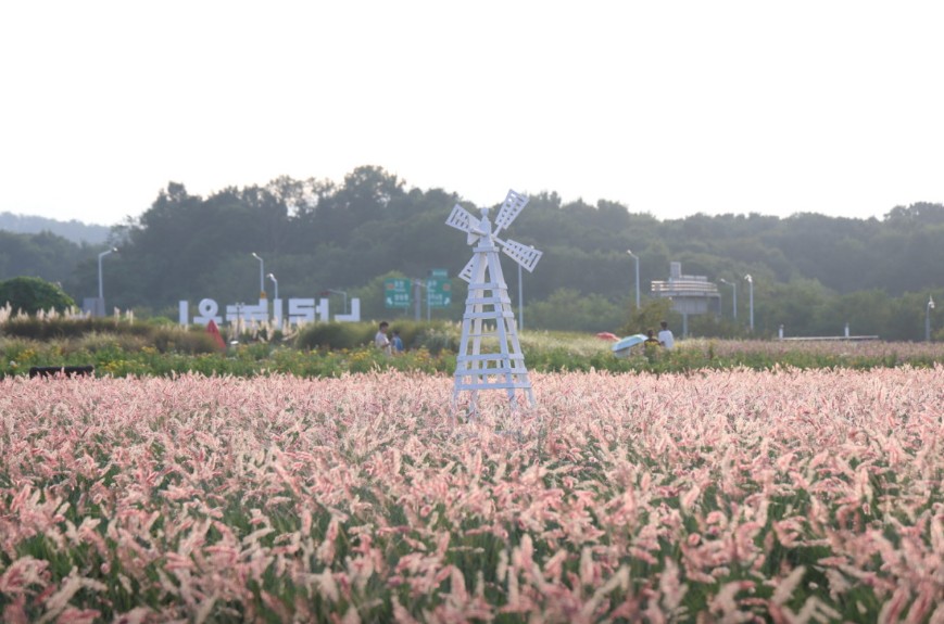 양주 나리농원 이미지 6