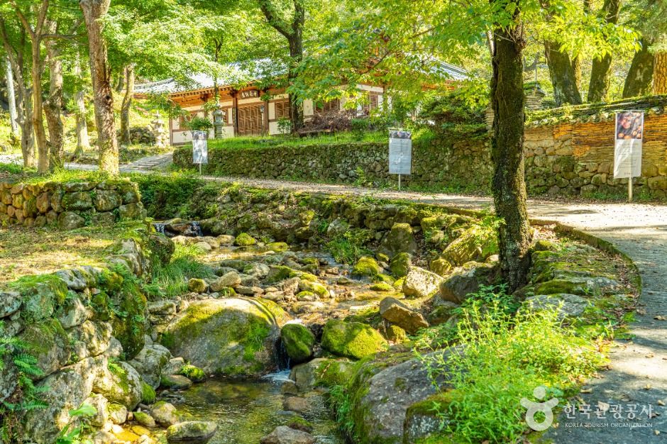 하동 쌍계사 이미지 6