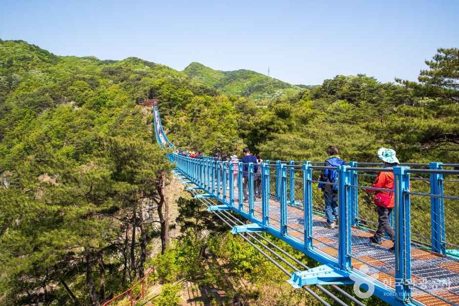 원주 소금산 출렁다리 이미지 3