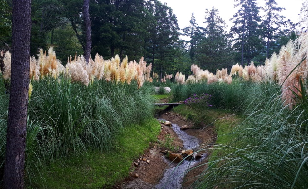 해남 포레스트수목원 이미지 7