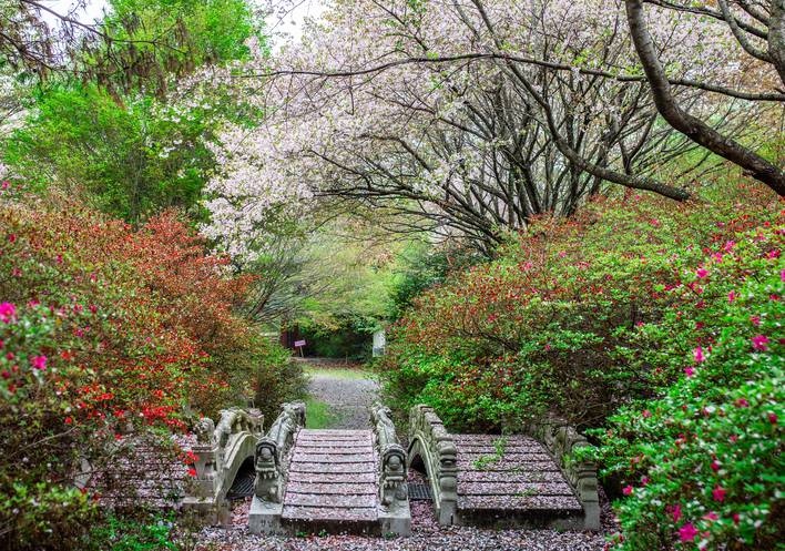 강진 남미륵사 이미지 3
