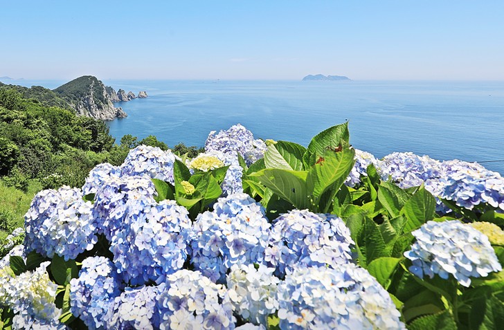 통영 연화사 이미지 7