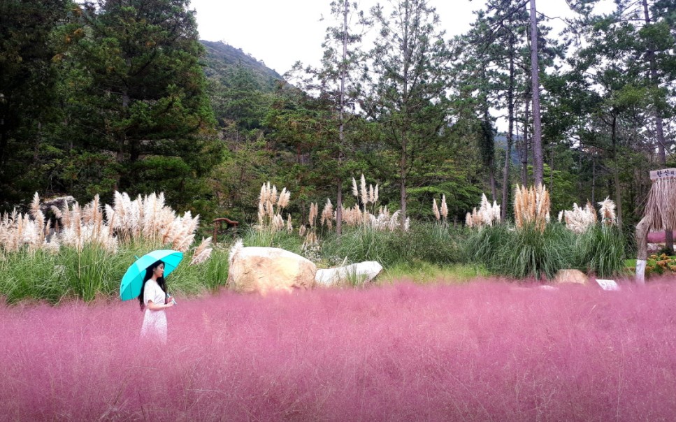 해남 포레스트수목원 이미지 3