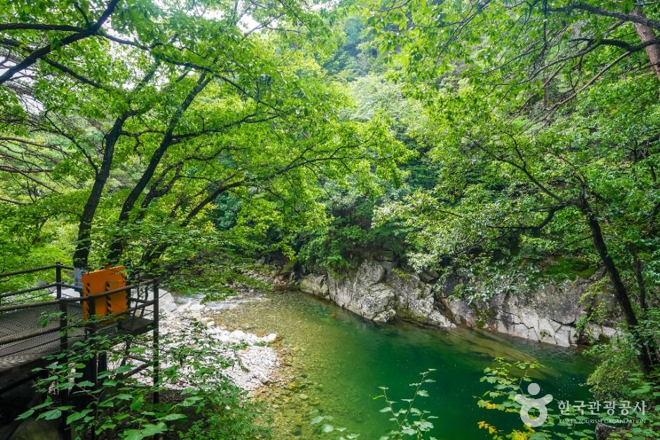 합천 가야산 홍류동계곡 이미지 6