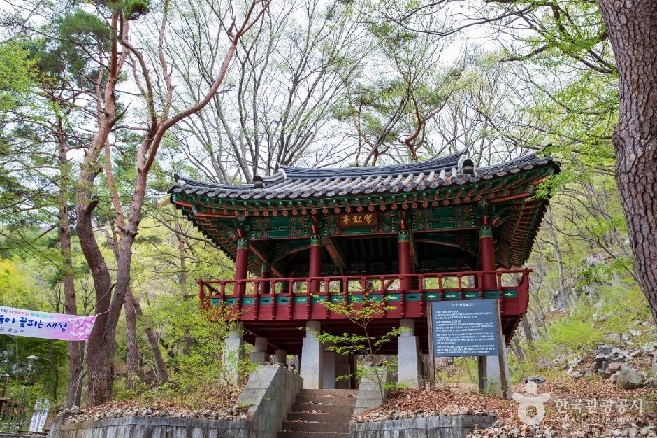 양산 홍룡사 이미지 7