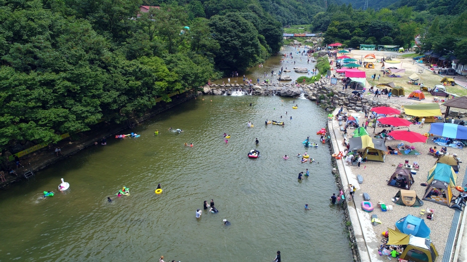 옥천 장령산자연휴양림 이미지 2