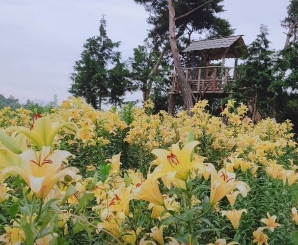 익산 달빛소리 수목원 이미지 4