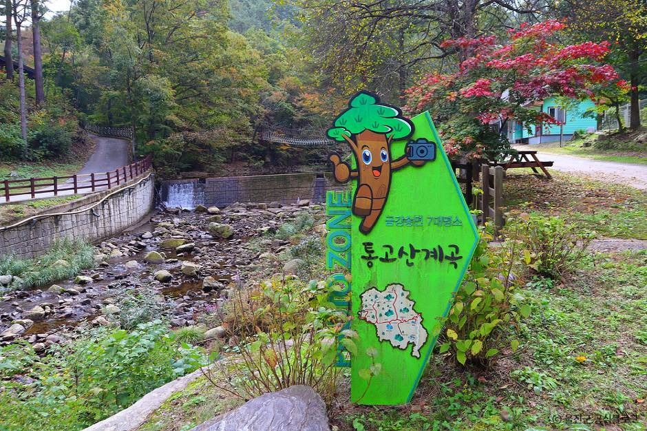 울진 통고산자연휴양림 이미지 1