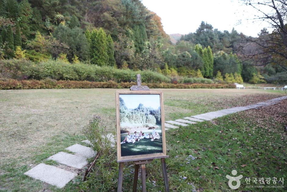 양평 서후리숲 이미지 8