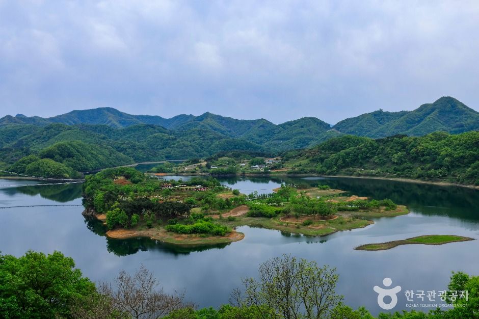 임실 옥정호 출렁다리 및 붕어섬생태공원 이미지 7